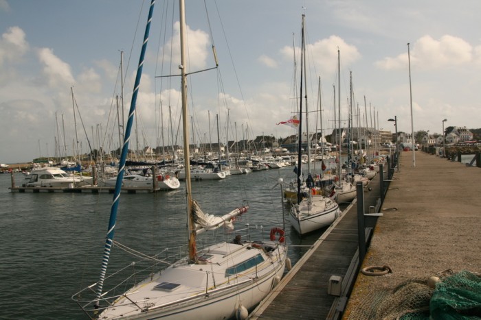 rushcup_5.jpg (223.14 Kio) Consulté 31335 fois rushcup_5.jpg