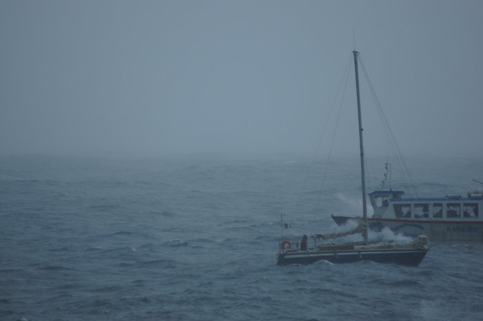 DSC01669.JPG