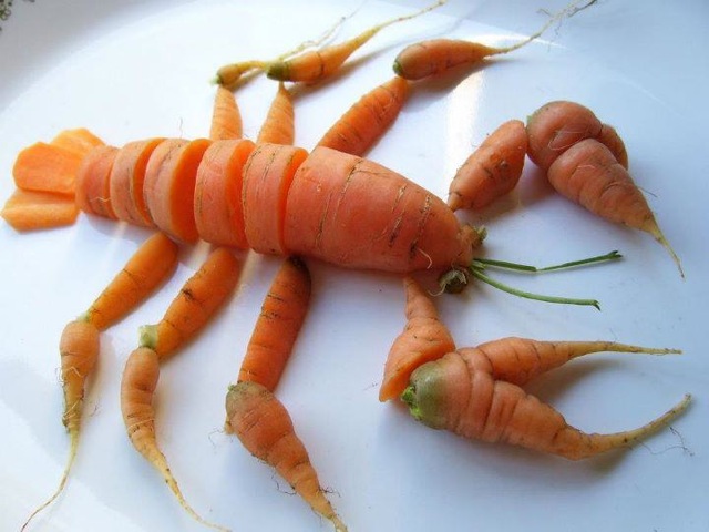 langouste1.jpg