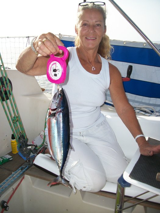 21 oct 2014 pêché un thon 900 grs !!!!! route vers PENICHE (12).JPG (449.3 Kio) Consulté 23063 fois notre 2ème pêche un thon !!!!! 900grs !!!