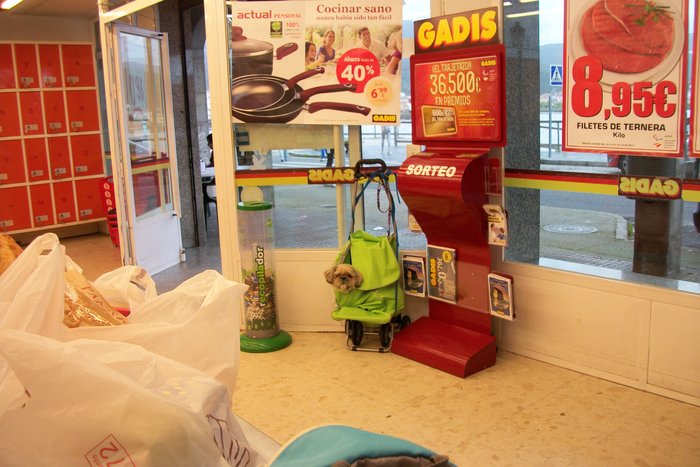 18 octobre 2014 visite de MUROS ( notre 4ème escale !!!) Espagne (6).JPG (2.14 Mio) Consulté 23063 fois interdit aux chiens ds les magasins !!! on a trouvé la solution !!!!!!!!!