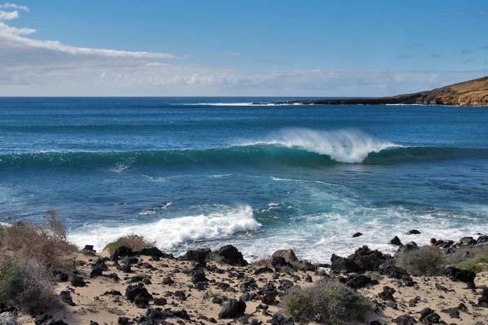 _DSF4307.JPG (789.5 Kio) Consulté 42358 fois petit coucou de l'ile de Graciosa
