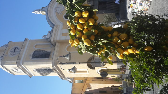 Les citrons de Procida