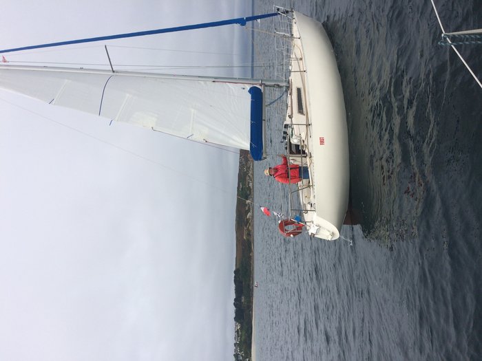 IMG_3796.jpg (1.69 Mio) Consulté 43420 fois IMG_3796.jpg