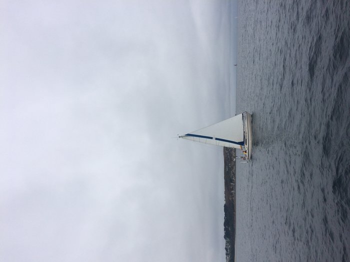 IMG_3818.jpg (1.44 Mio) Consulté 43420 fois IMG_3818.jpg