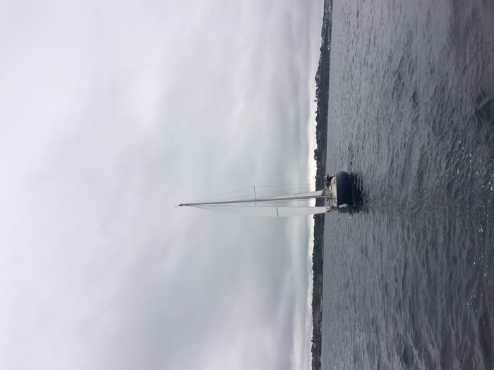 IMG_3821.jpg (1.52 Mio) Consulté 43420 fois IMG_3821.jpg