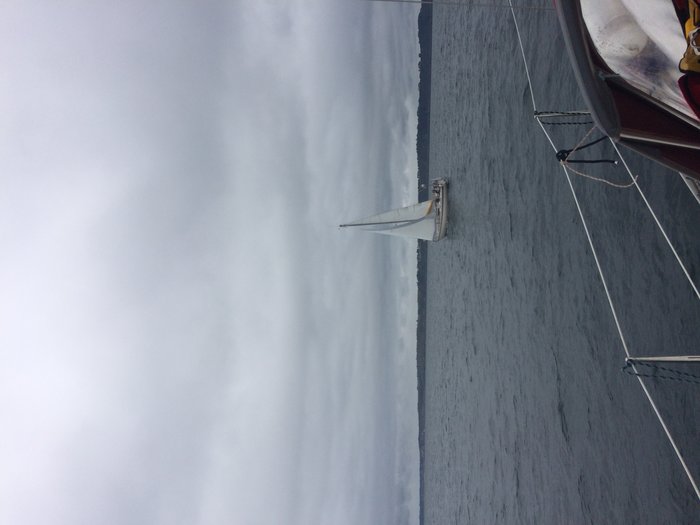 IMG_3824.jpg (1.44 Mio) Consulté 43420 fois IMG_3824.jpg