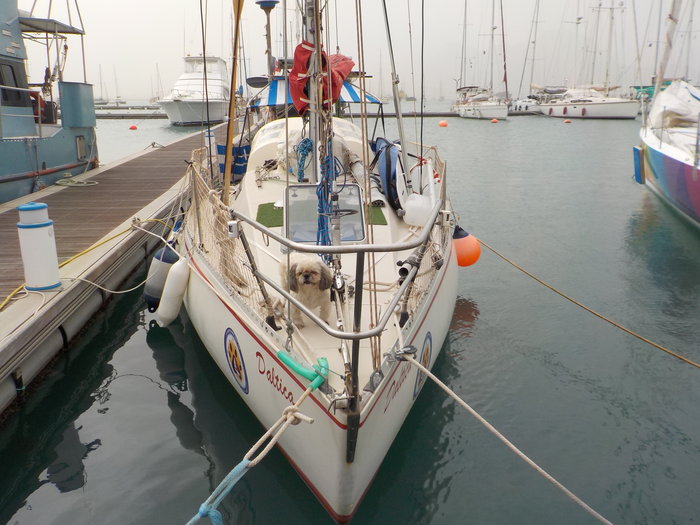 22 déc 2017 MINDELO (18).JPG (6.31 Mio) Consulté 41726 fois 22 déc 2017 MINDELO (18).JPG