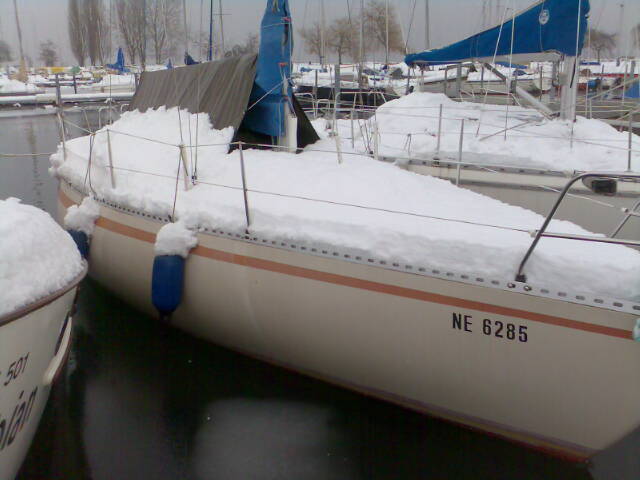Zephyr sous la neige
