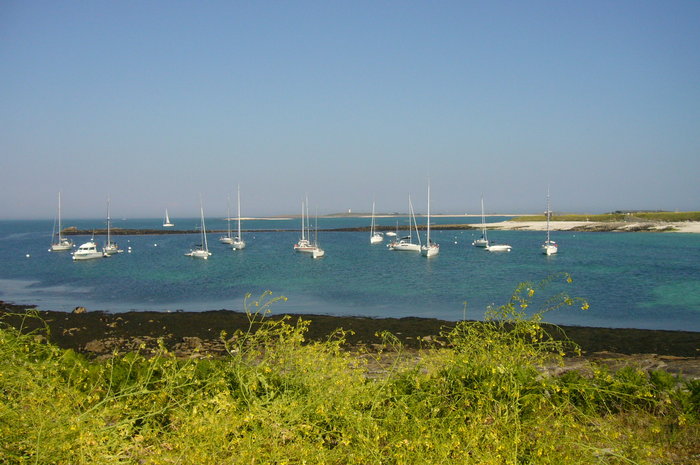 P1080143.JPG (615.25 Kio) Consulté 21759 fois P1080143.JPG