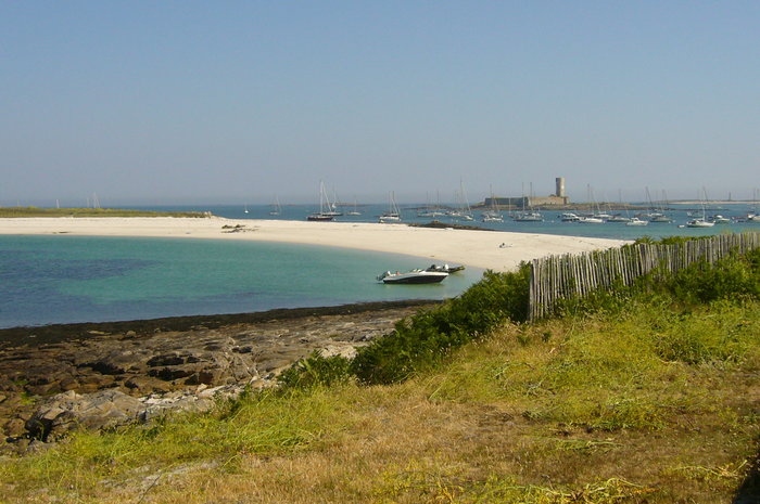 P1080145.JPG (633.05 Kio) Consulté 21759 fois P1080145.JPG