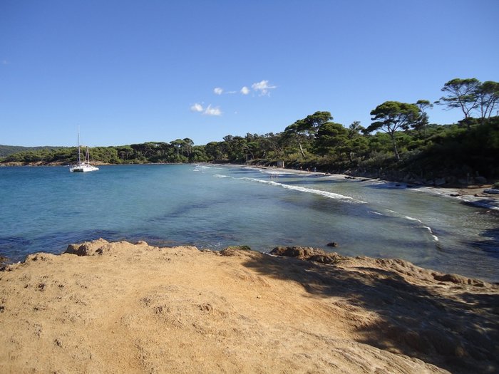 DSC00371bis.JPG (287.77 Kio) Consulté 17580 fois DSC00371bis.JPG