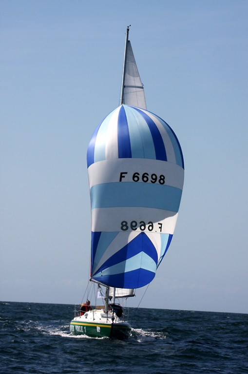 lallig_14.jpg